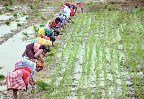 ADB cuts India’s growth forecast, expects erratic rains to hit farm output