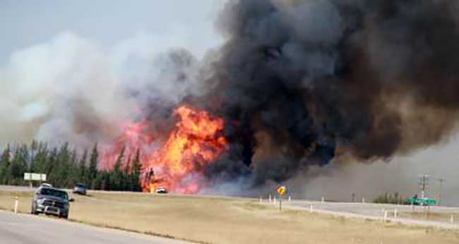 Area of over 5 million football fields burnt in Canada: Minister