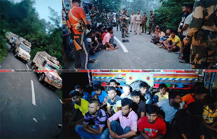 BSF seize 86 Myanmar breed cattle in Tripura, apprehend 18 Indians