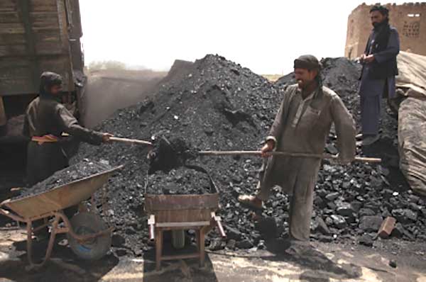 Bengal coal scam: Companies with cross-holdings by arrested bizman under ED scanner