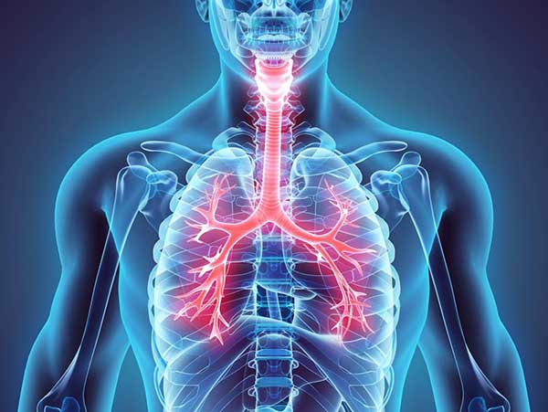 Bronchitis, pneumonia by age 2 can double early death risk as adults