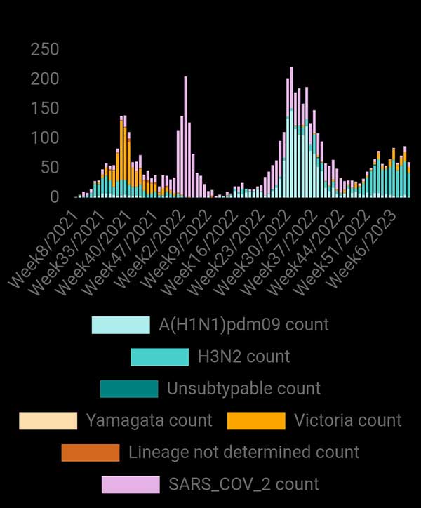 With H3N2 as predominant sub-type, combination of viruses causing infections