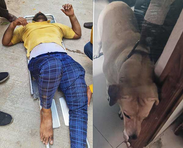 Hyderabad: Delivery agent jumps of 3rd floor of building to escape dog attack