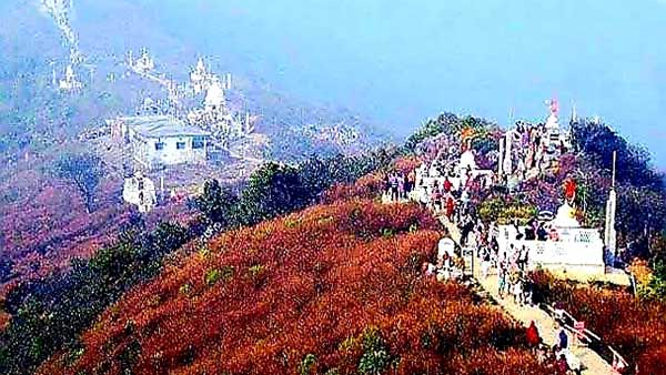 Centre stays all tourism and eco-tourism activities at Sammed Shikharji