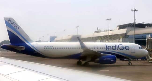 Drunk Swedish flyer arrested for molesting IndiGo crew member