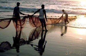 Eight TN fishermen arrested by Sri Lankan Navy