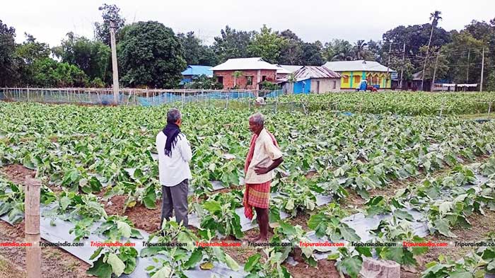 Govt ready for assistance to farmers affected by cyclone ‘Midhili’ in Tripura: Minister Ratan Lal Nath