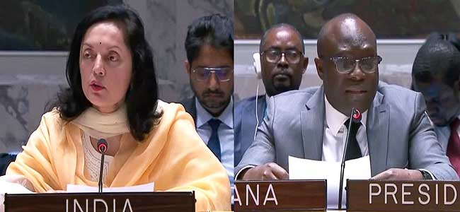 'Delhi Declaration symbolises UNSC determination to fight terrorism'