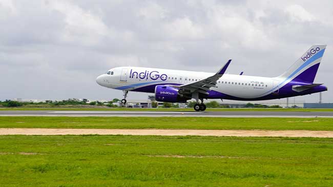 Drunk flyer on Delhi-Bengaluru IndiGo flight tries to open emergency door flap