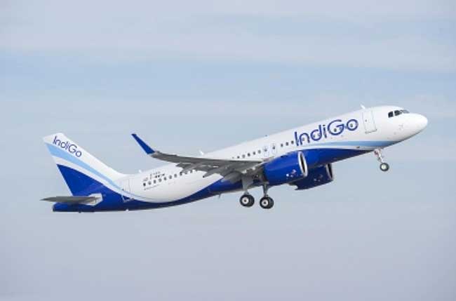 Passenger discovers live worm in sandwich on IndiGo flight