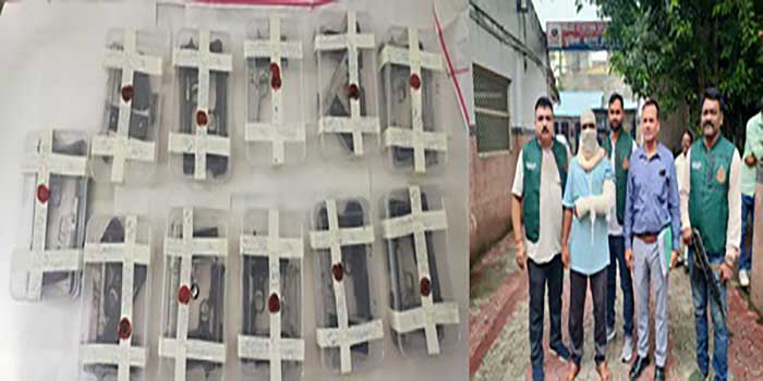 Delhi: Inter-state arms trafficker nabbed, 21 pistols recovered