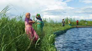 NE India's largest freshwater body in Manipur hit by illegal fishing, hunting