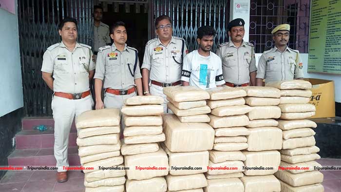 One held at Churaibari with 337 kg of cannabis worth Rs 50 lakh