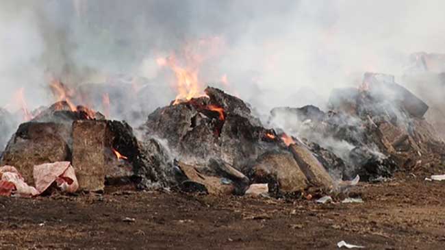 Tripura destroys seized drugs valued at Rs 9.5 crore