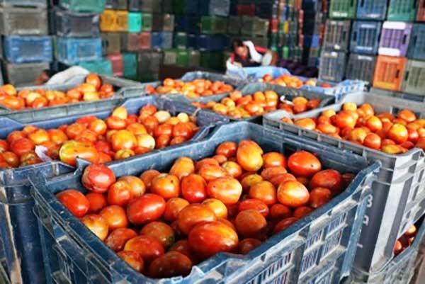 'Tomato Trouble': UP vegetable vendor hires bouncers to keep himself safe