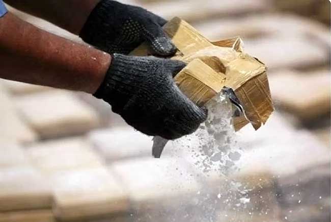 Maritime routes, digital tools, Dark Web: How drugs find their way into India