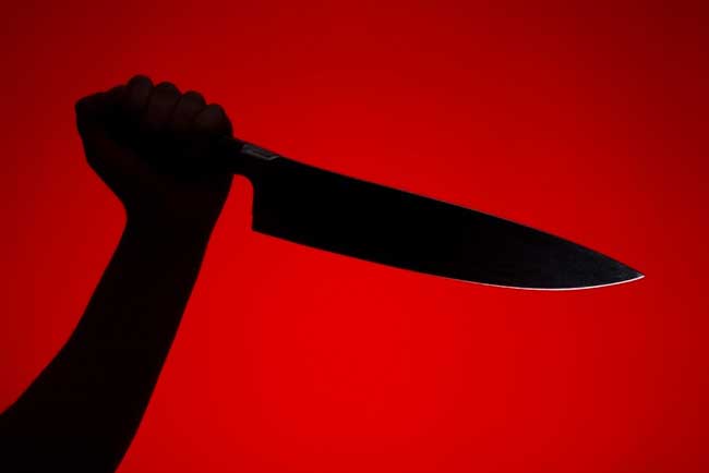 Top Meghalaya law official's servant murdered in Delhi, two held