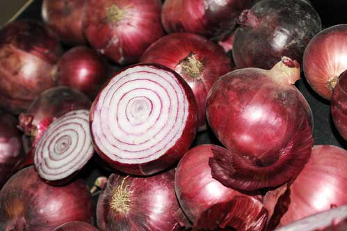 Govt bans onion exports to keep prices in check