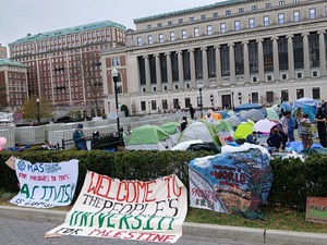 Hundreds of students arrested across US in surging pro-Palestine protests