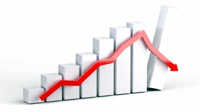 Domestic investors holding declined in June quarter