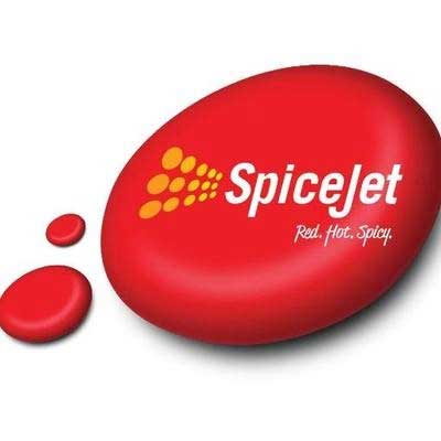 SpiceJet CMD, complainant settle shares transfer dispute, HC told